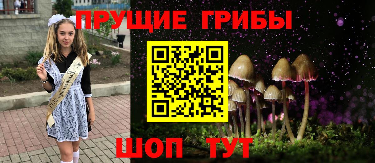Галлюциногенные грибы Psilocybine cubensis Сатка
